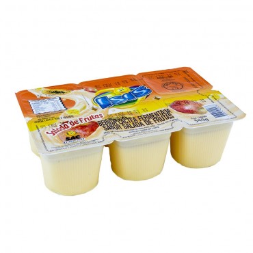 Iogurte Salada de Frutas Bandeja Isis 540g