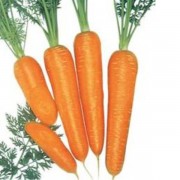 Cenoura 500g