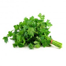 Salsa und